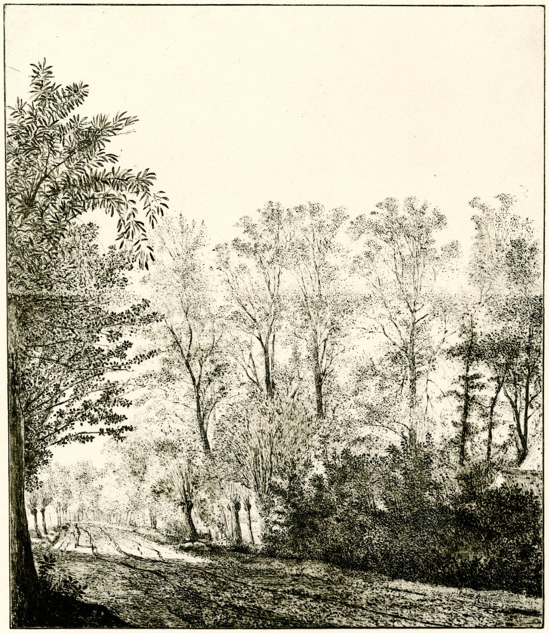 Sti gennem en skov af Hendrick Cornelisz. Vroom