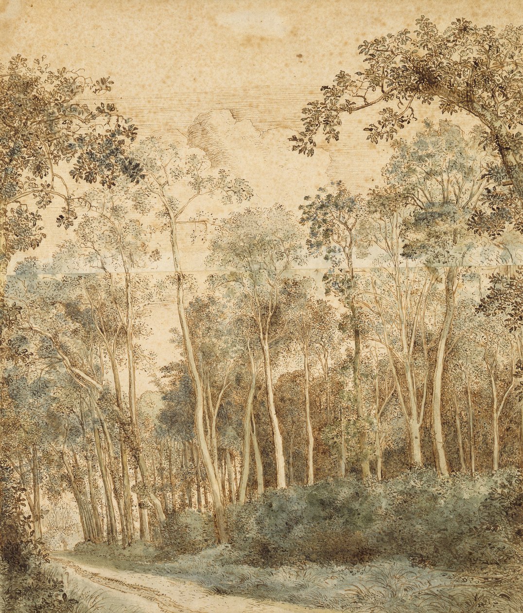 Skovklædt landskab (pen og brunt blæk og wc på papir) af Hendrick Cornelisz. Vroom