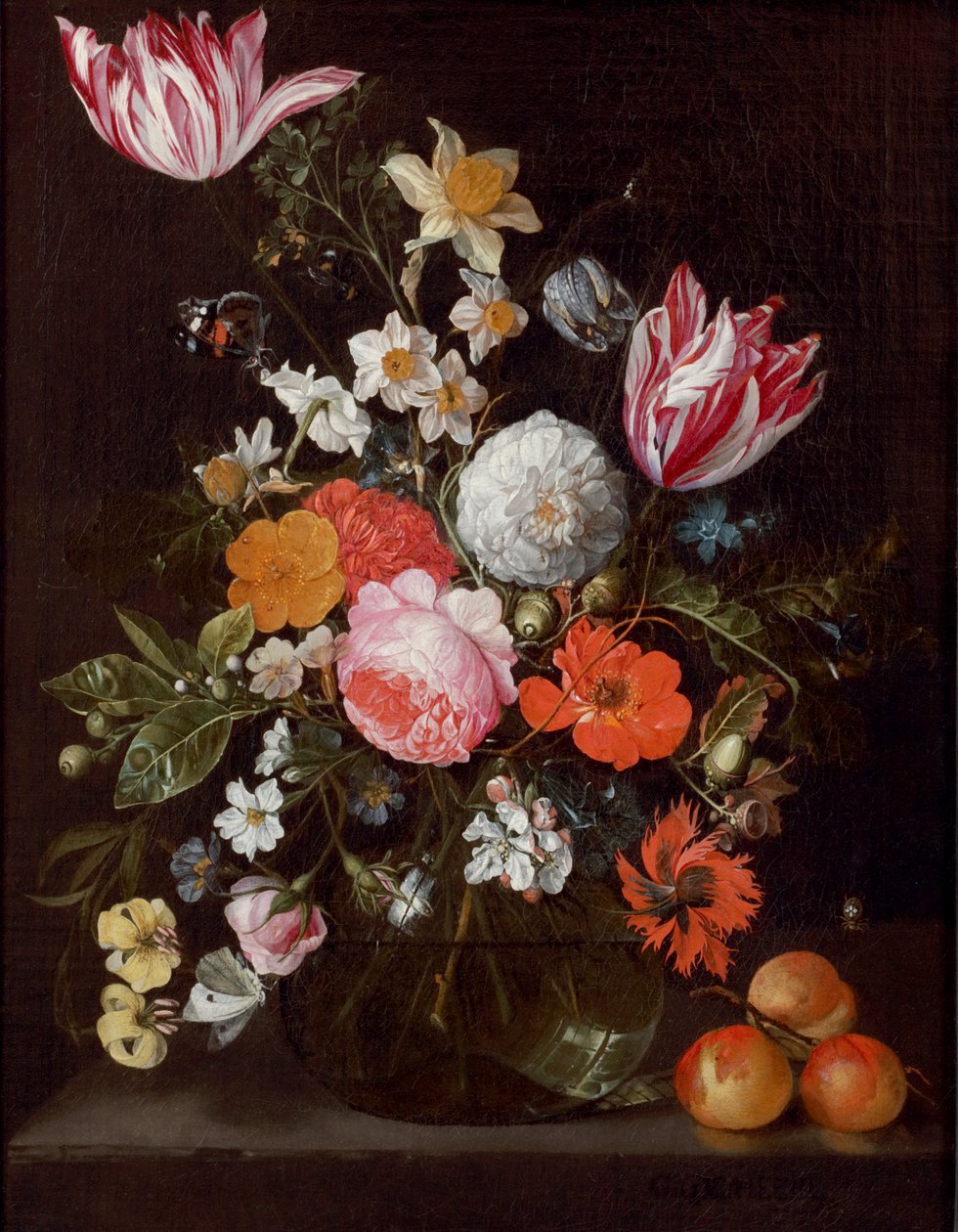 Blomster i en glasvase på en stenkant med abrikoser af Cornelis de Heem
