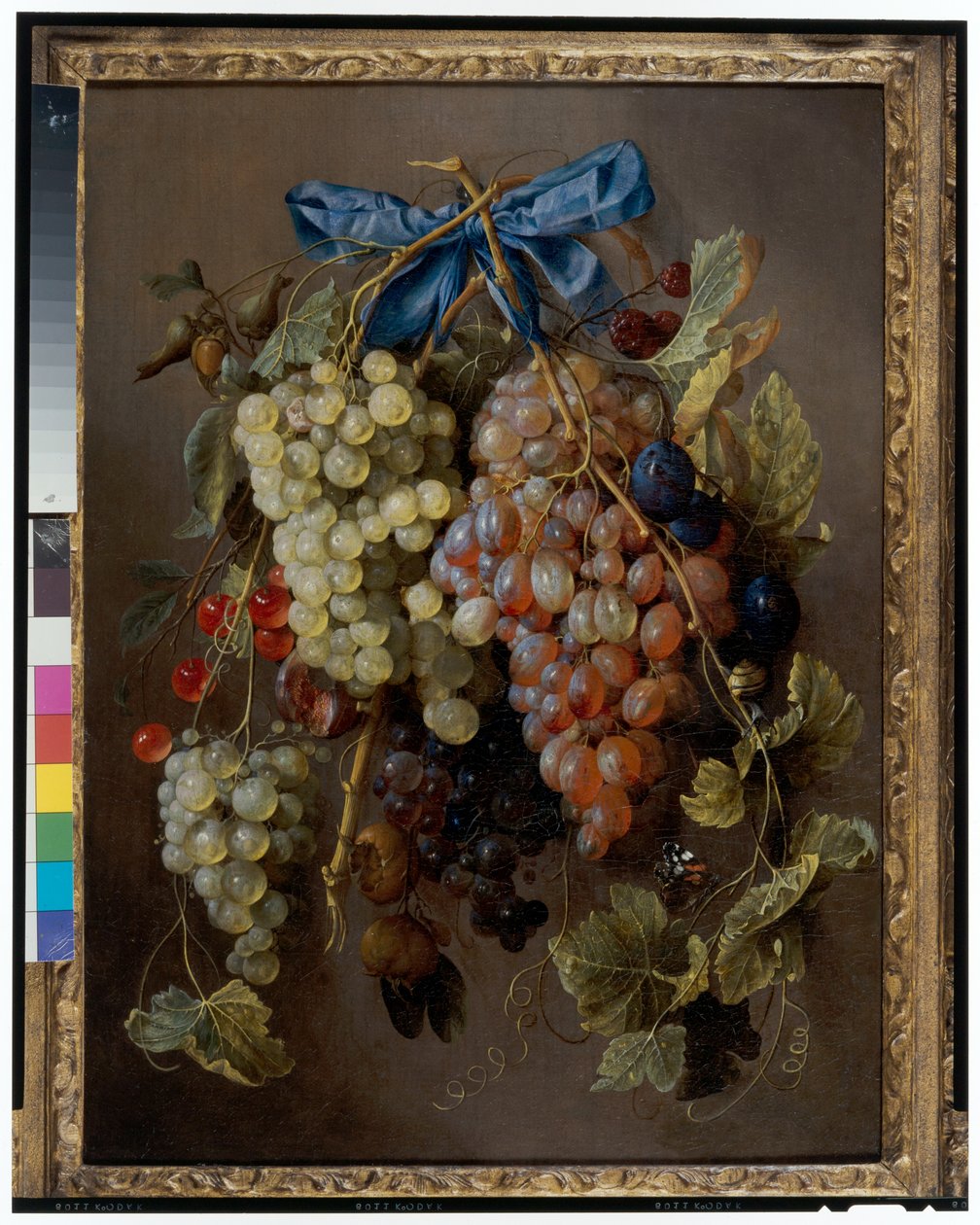 Stilleben af druer, kirsebær og blommer, der hænger fra et søm med et blåt bånd af Cornelis de Heem