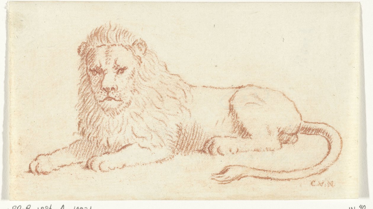 Løve af Cornelis van Noorde