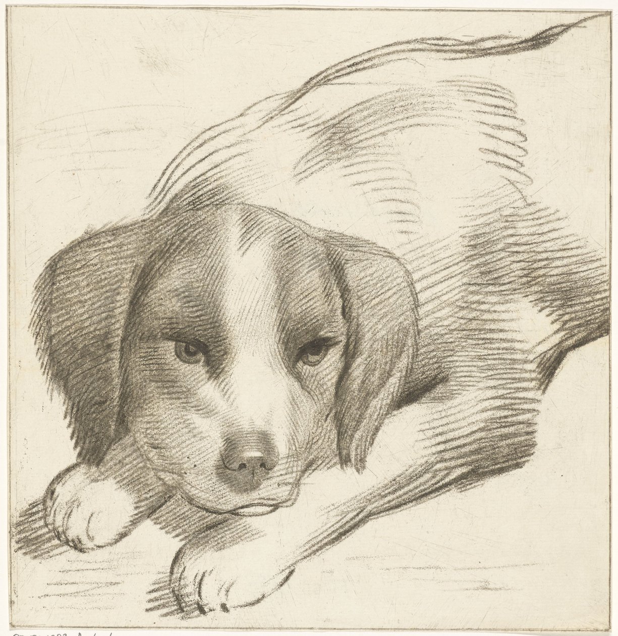 liggende hund af Cornelis van Noorde