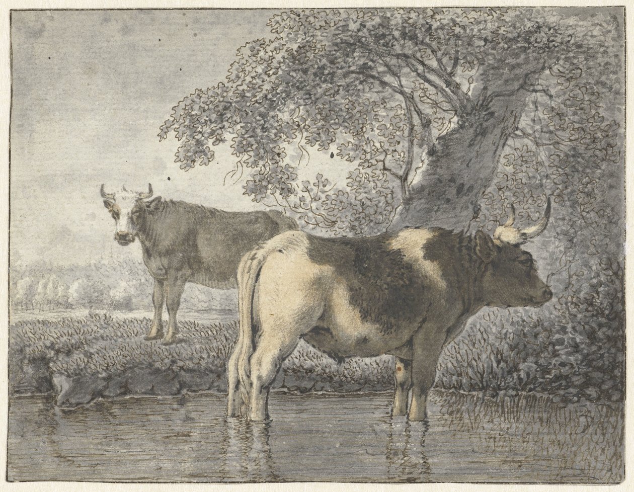 To køer under et træ ved vandet af Cornelis van Noorde