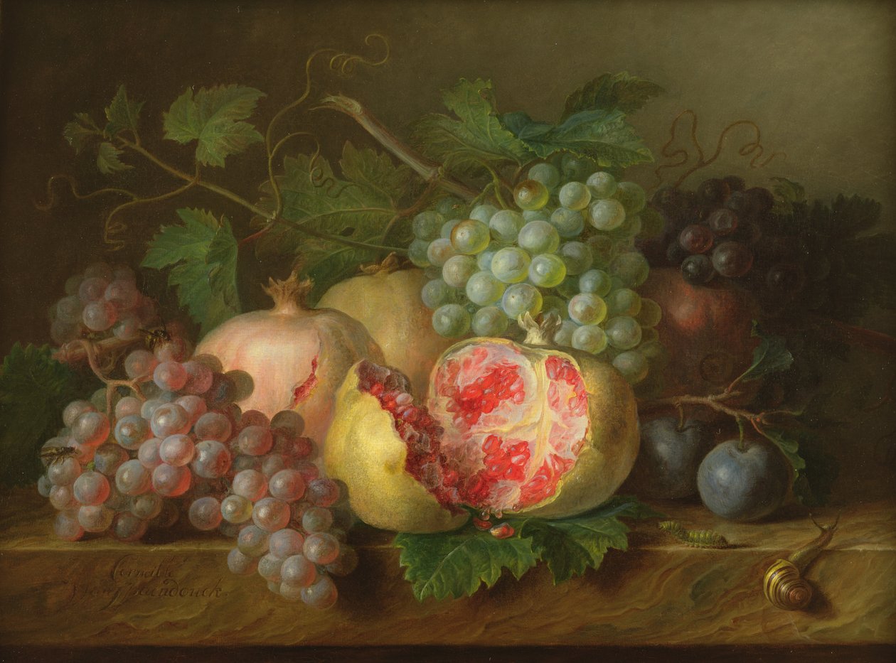 Stilleben af granatæbler, druer og blommer på en marmorkant (panel) af Cornelis van Spaendonck