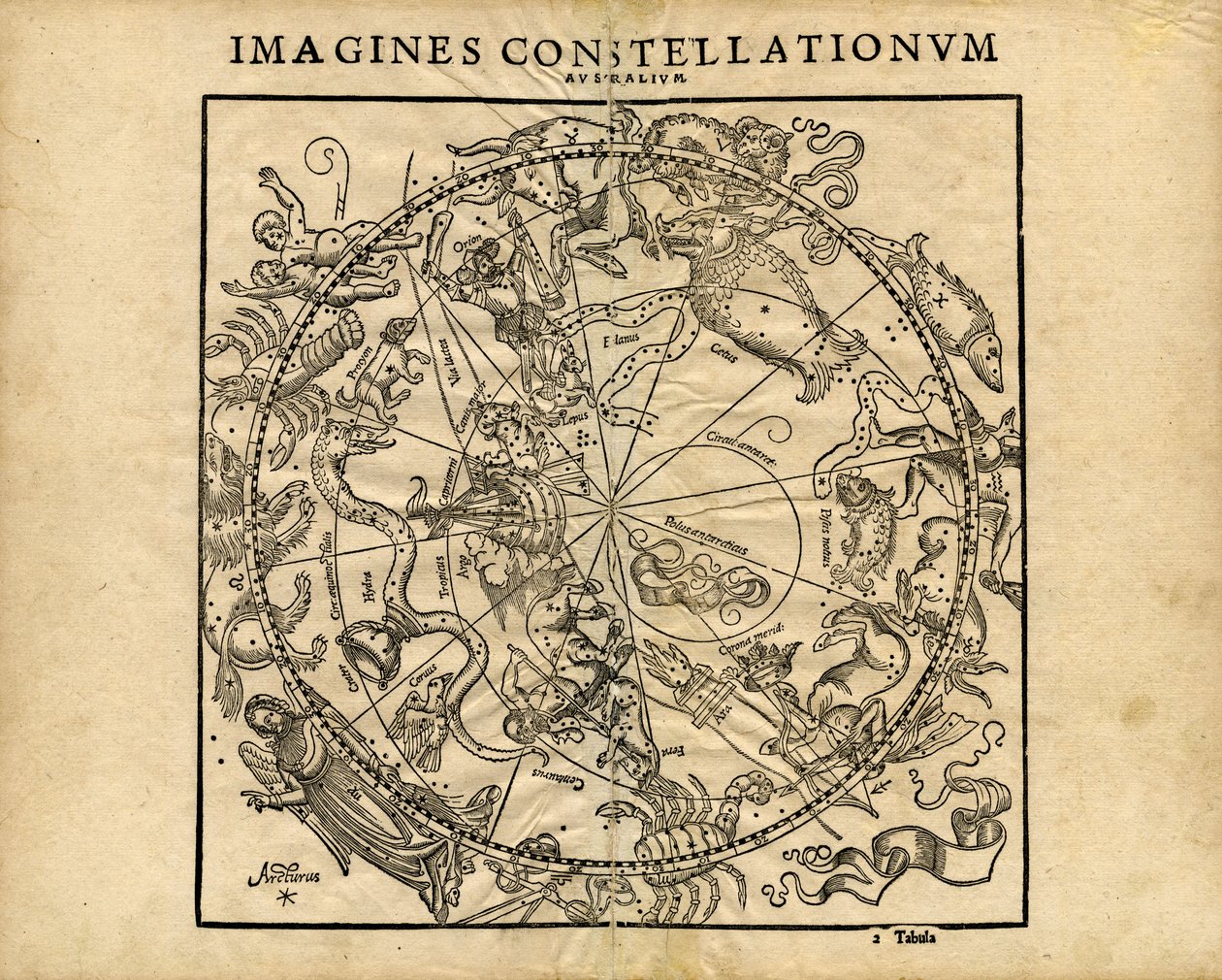 Forestiller sig Constellationum Australium (den sydlige himmelske planishpere) af Coronensis & Petri Heinrich Honter