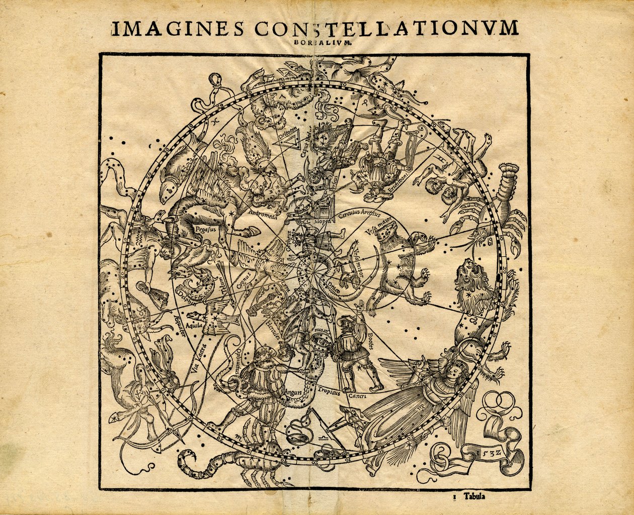 Forestiller sig Constellationum Borealium (den nordlige himmelske planisfære) af Coronensis & Petri Heinrich Honter