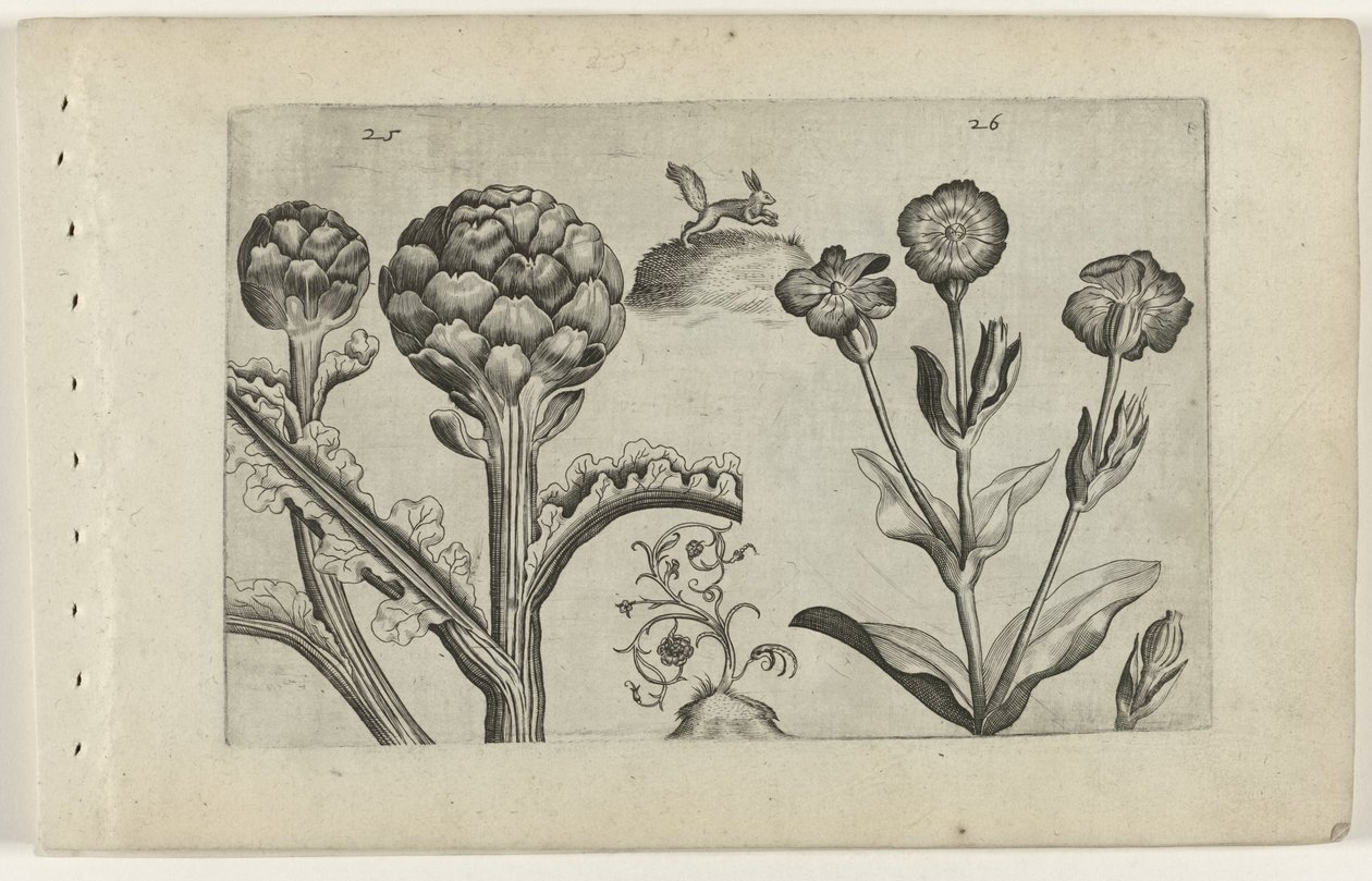Artisjok en prikneus Know the Lilies (serietitel) af Crispijn van de Passe (I) (attributed to)