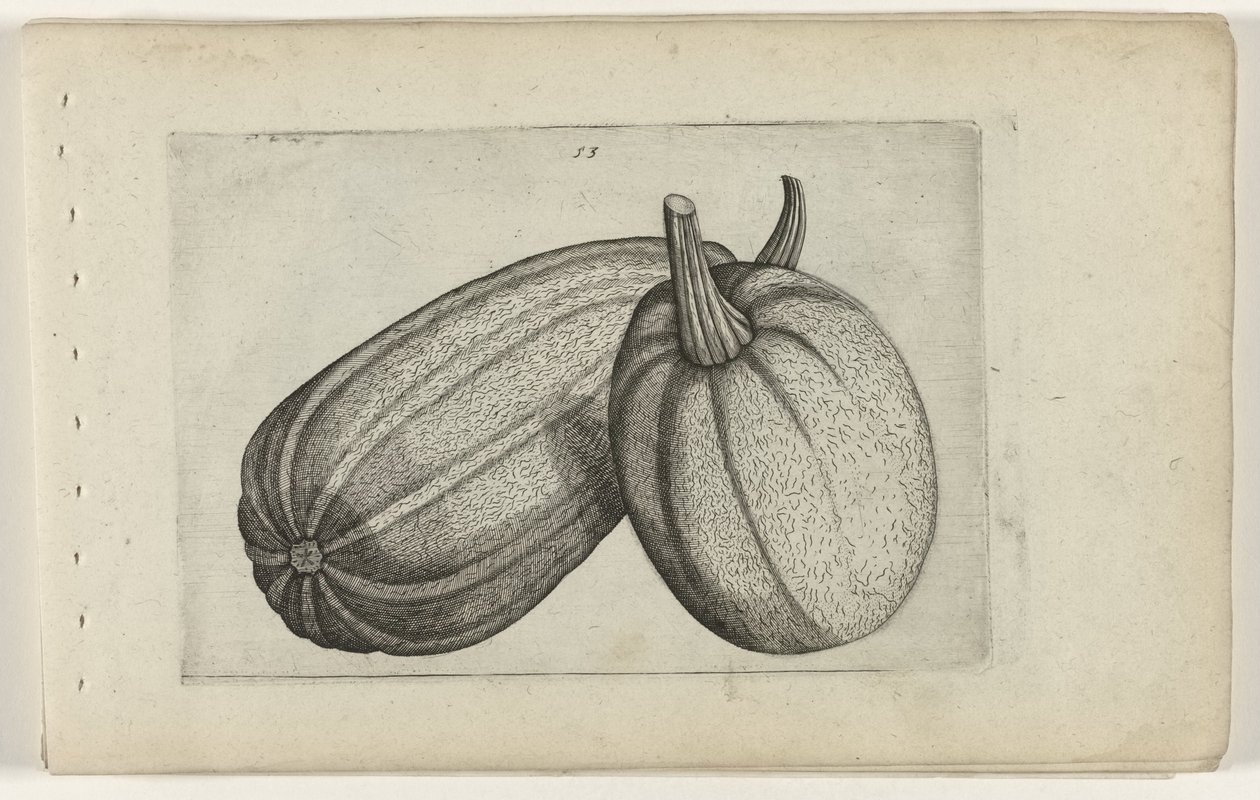 To meloner Know the Lilies (serietitel) af Crispijn van de Passe (I) (attributed to)