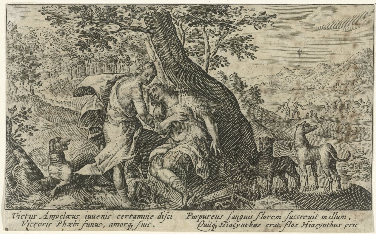 Apollo og Hyacinthus Metamorfosen van Ovidius (serietitel) af Crispijn van de Passe (I)
