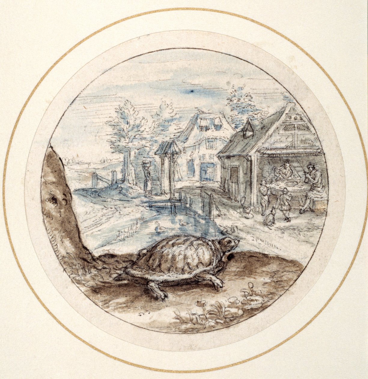 Skildpadde, tidligt i det 17. århundrede (pen og brunt blæk med brune og blå vaske) af Crispin I de Passe