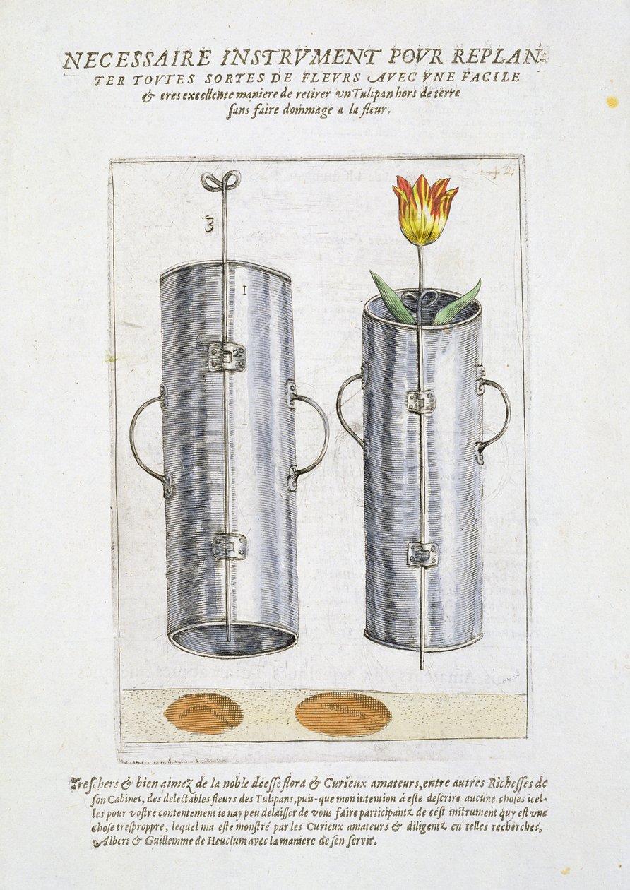 Apparat til genplantning af blomster, fra 