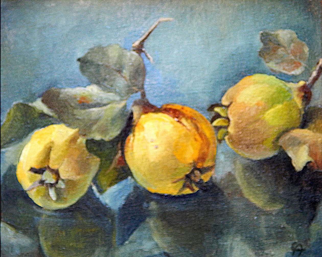 Quinces, 2011, af Cristiana Angelini