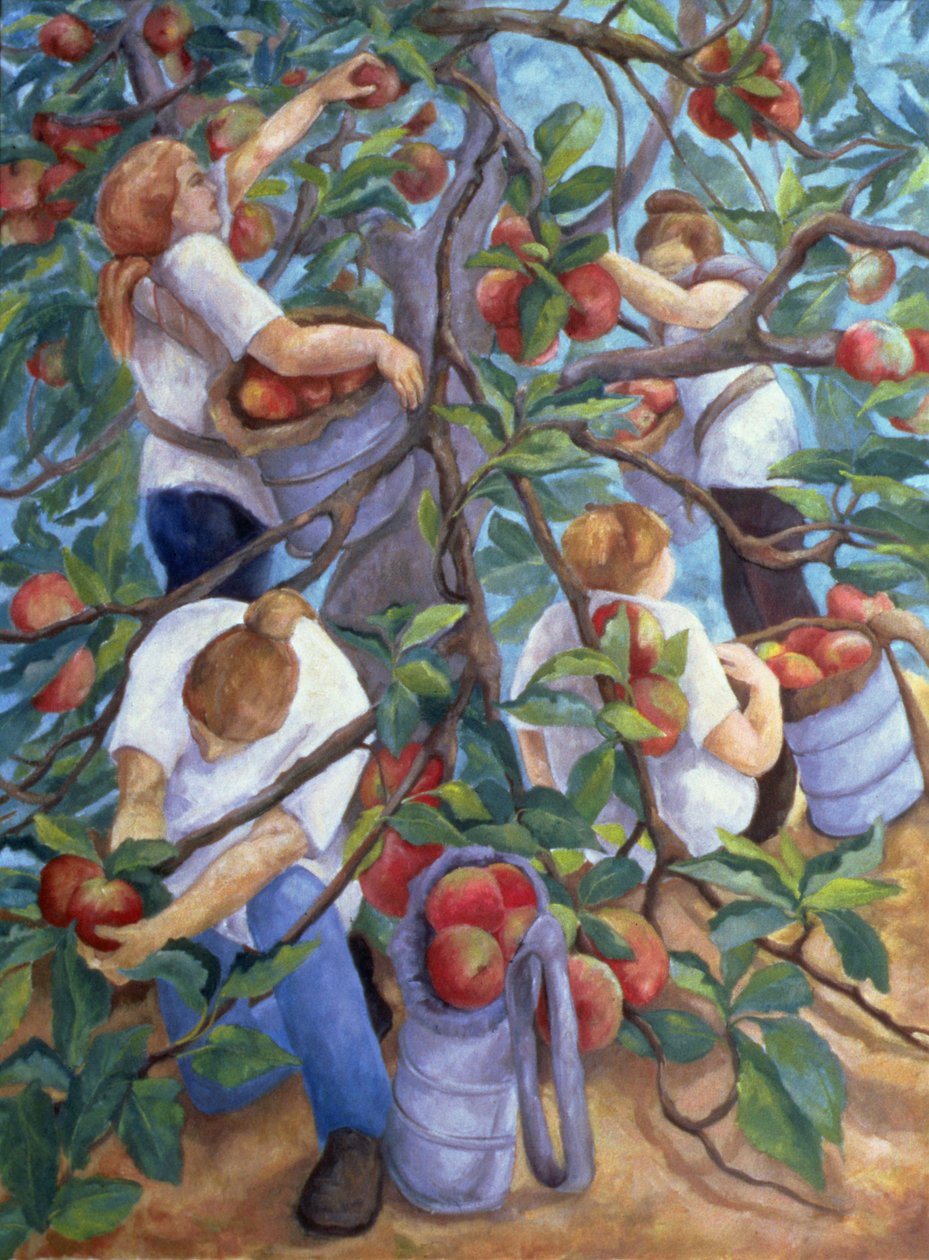 Æbleplukkere, 1996 af Cristiana Angelini