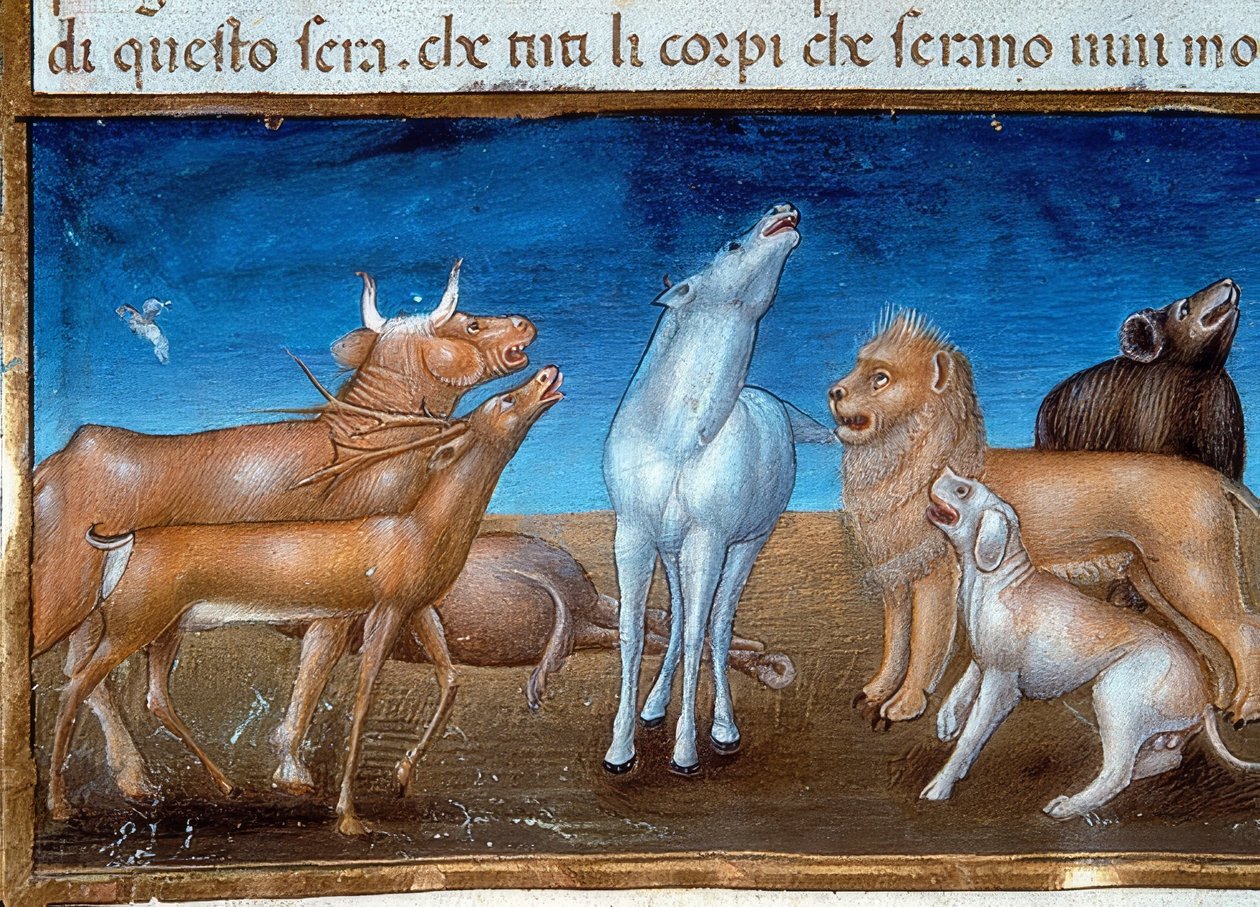 Verdens undergang: Stjernerne skal falde ned fra himlen, og dyrene skal frygte (c.149v). 1476 af Cristoforo De Predis