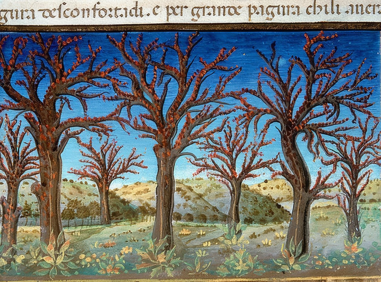 Verdens ende: træerne vil være dækket af blod (c.147v). 1476 af Cristoforo De Predis