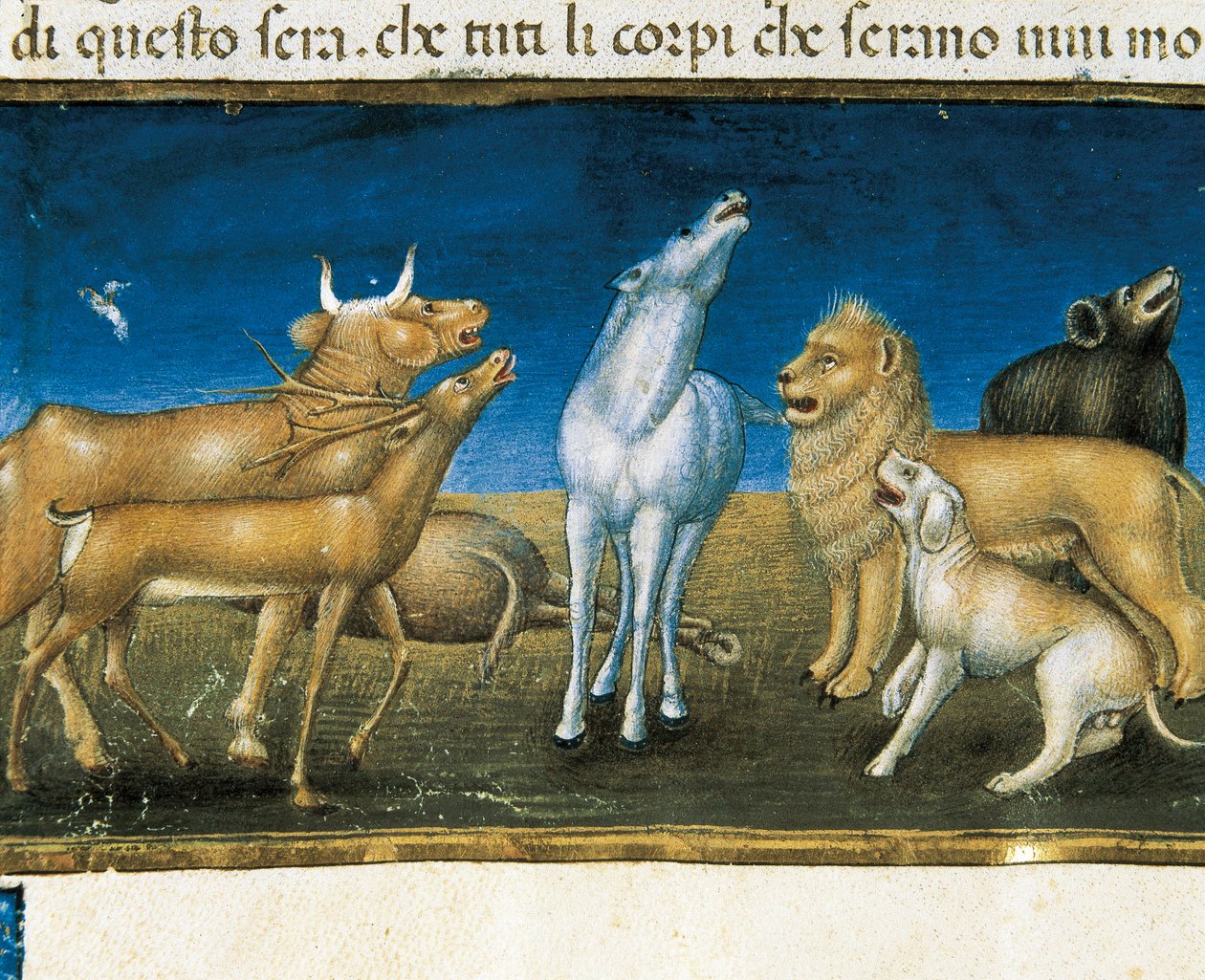 "Stjerner vil falde fra himlen for øjnene af dyr" (miniature) Miniature af Cristoforo De Predis (1440-1486) af Cristoforo De Predis