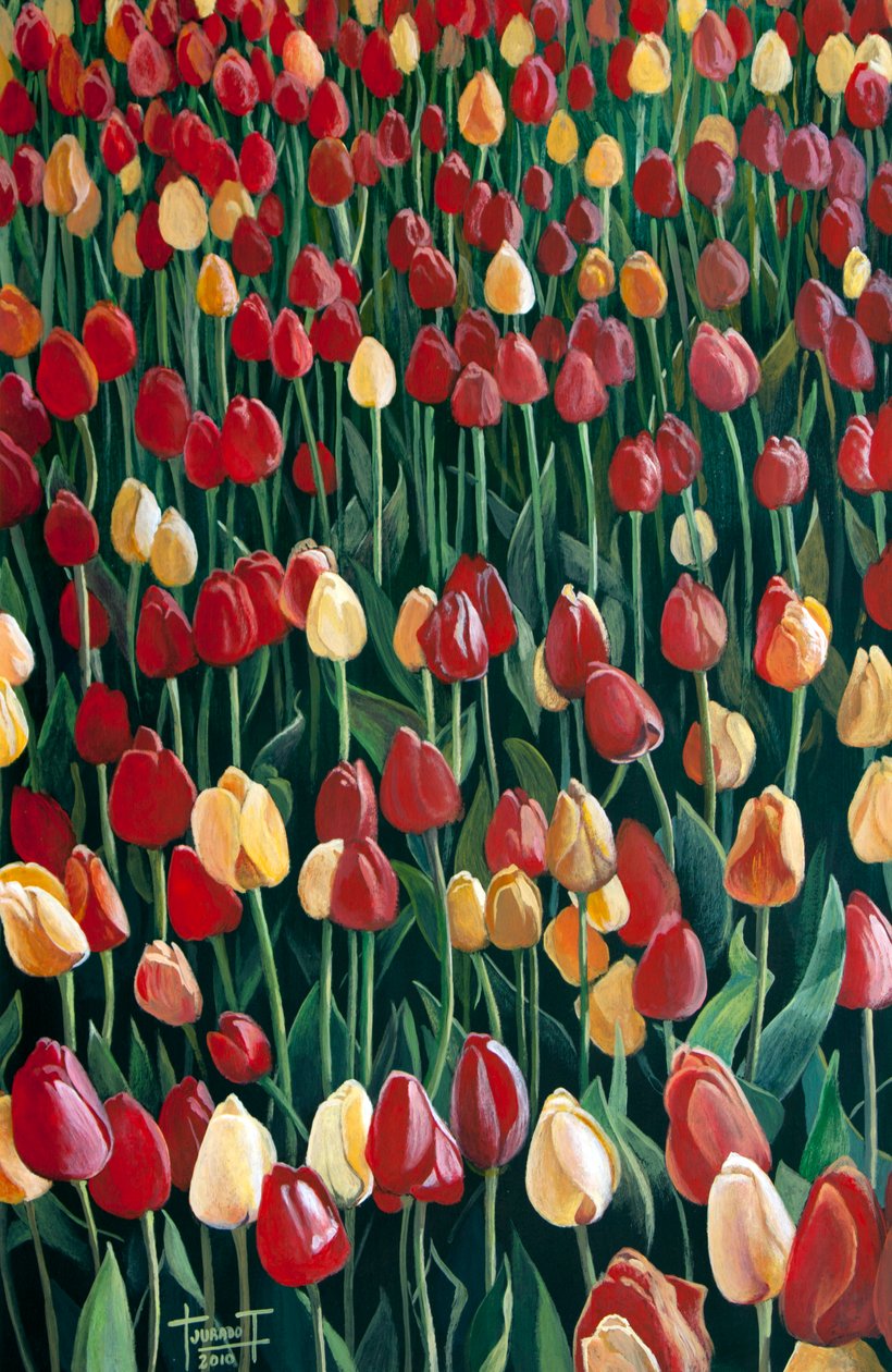 Tulipaner, 2010 (akryl på papir) af Cruz Jurado Traverso