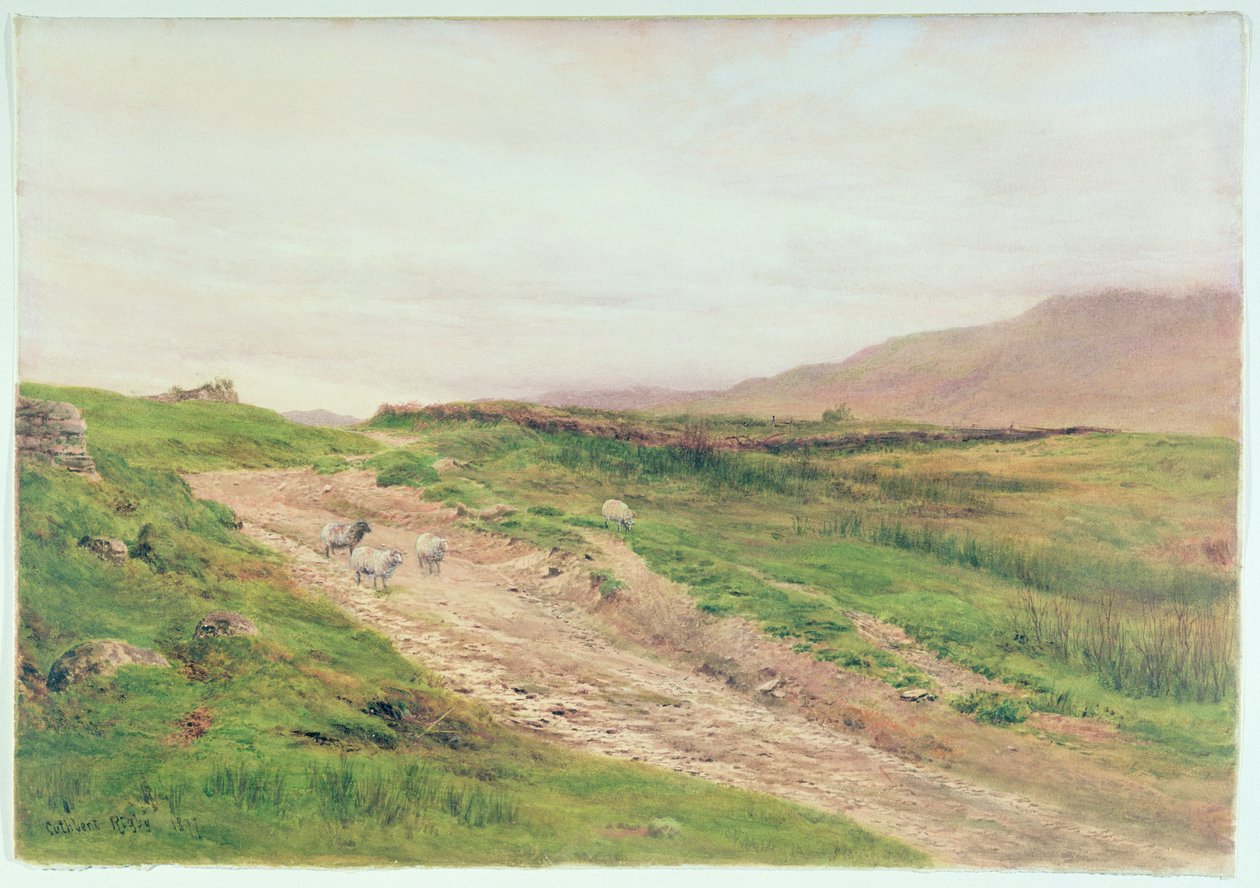 sø område af Cuthbert Rigby