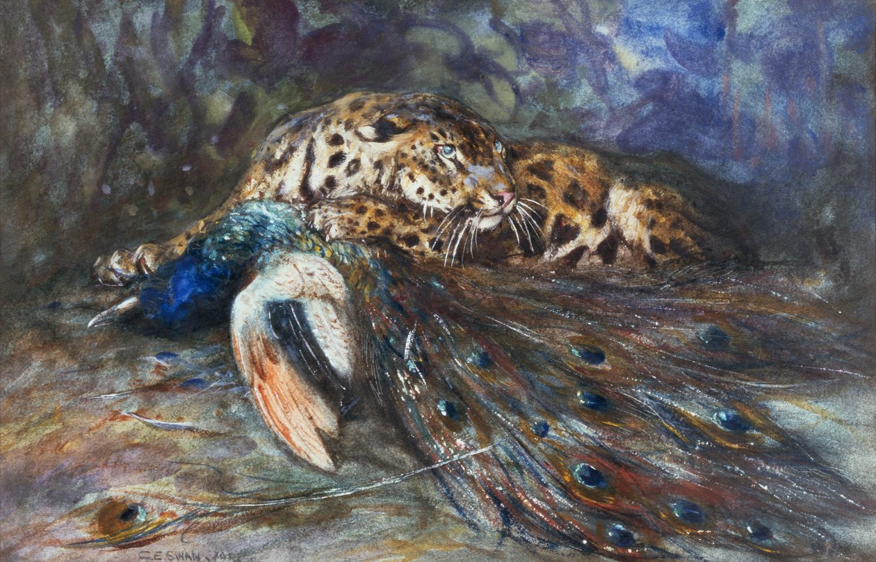 Jaguar med påfugl af Cuthbert Edmund Swan