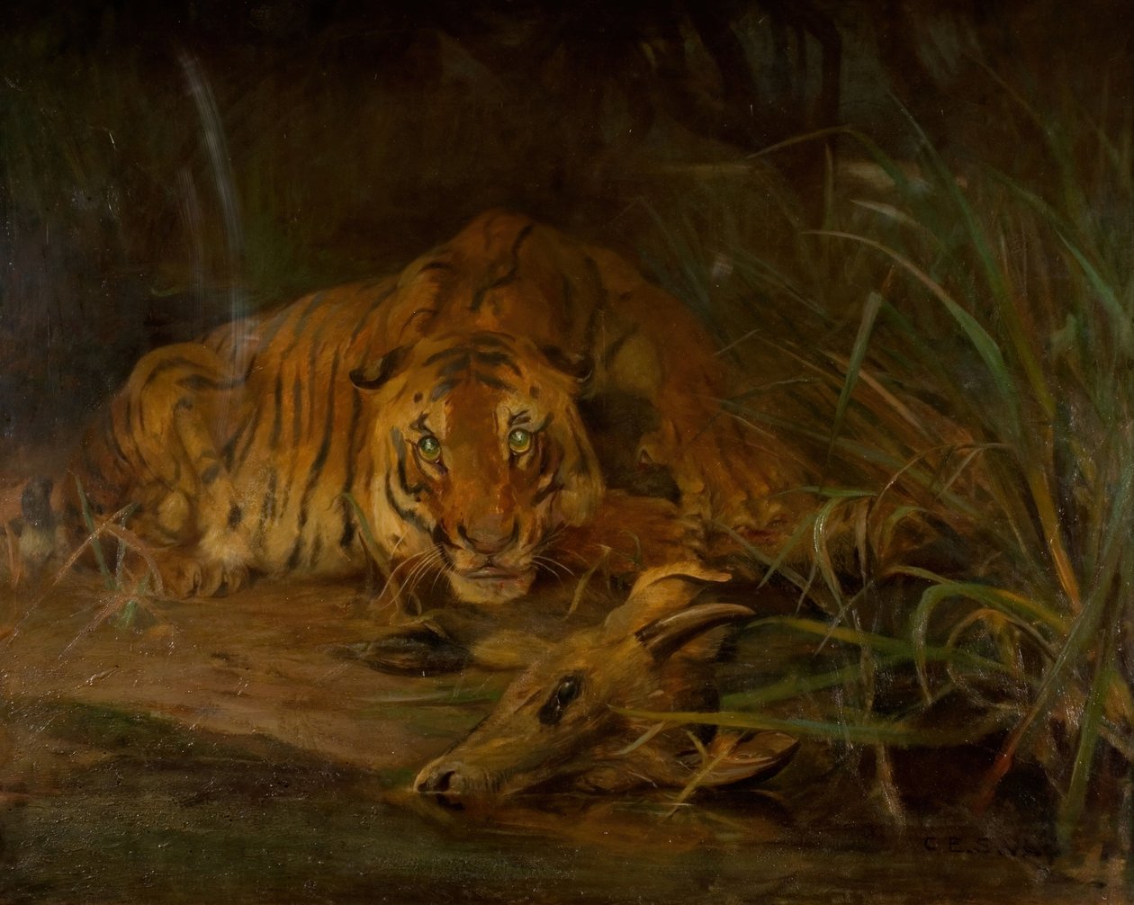 Tiger And Prey, 1931. af Cuthbert Edmund Swan