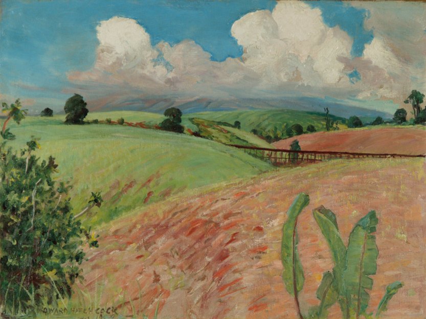 Canefields, Big Island af D. Howard Hitchcock