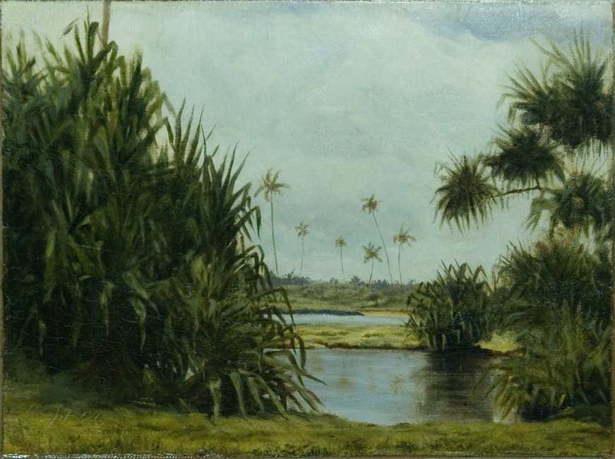 Hilo-bugten af D. Howard Hitchcock