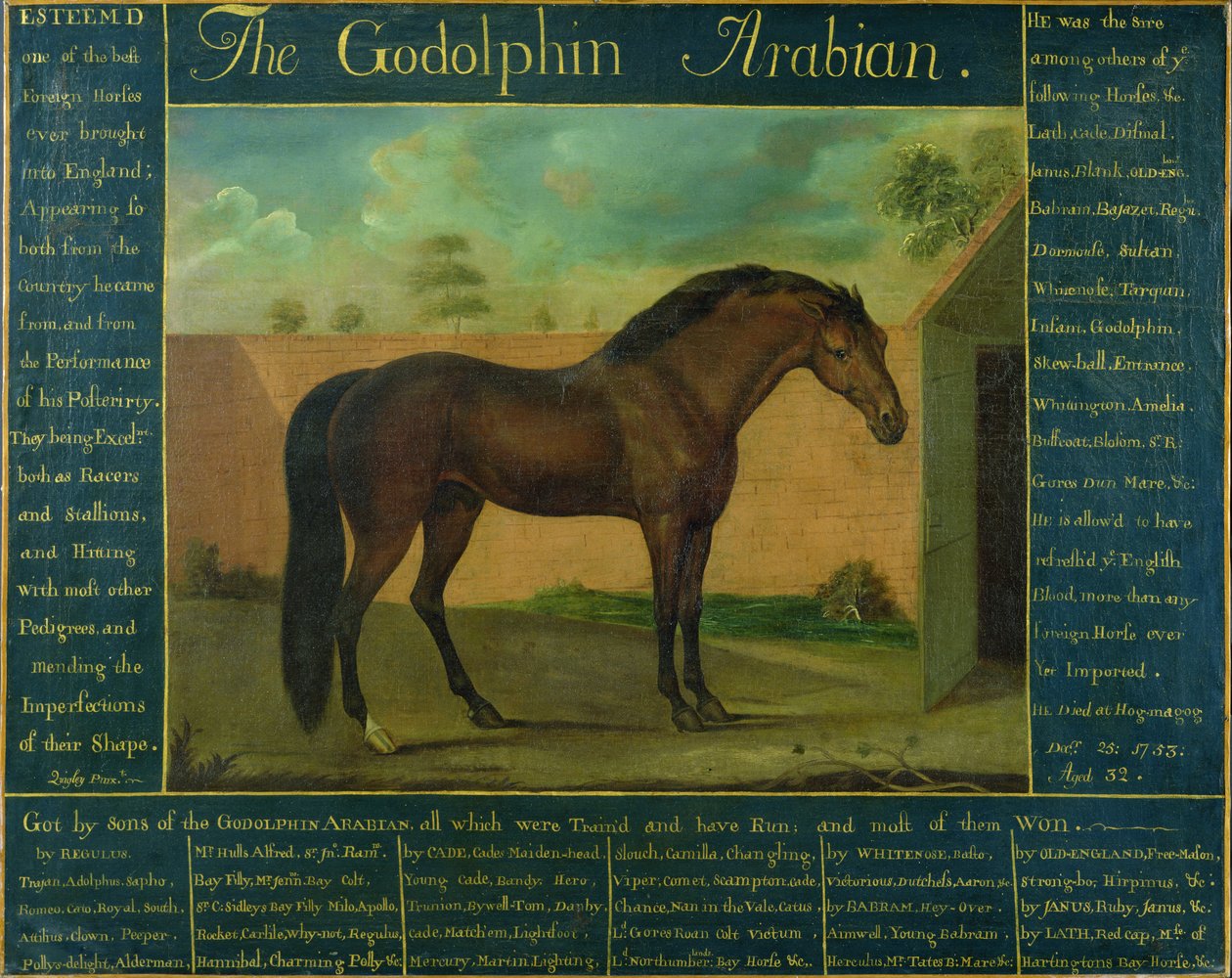 Godolfin-araberen af D. Quigley