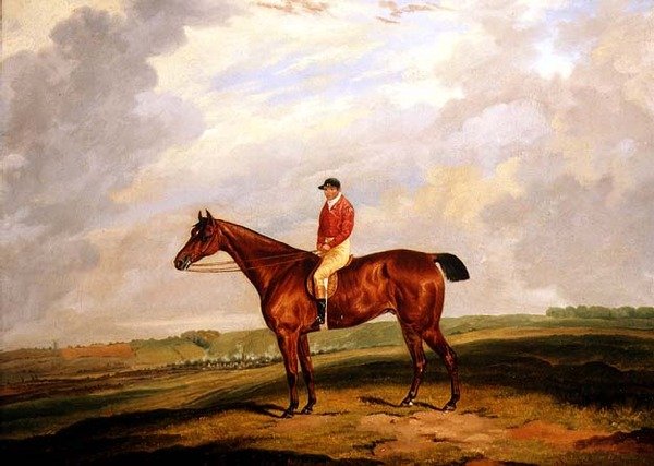 Væddeløbshest med Jockey Up af D. the Younger Wolstenholme