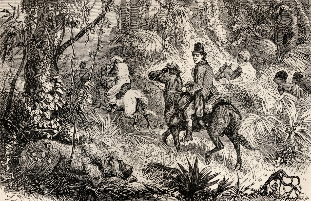Mungo Park støder på en løve, mens han er på vej til landsbyen Modiboo, 1825 af Dalziel Brothers