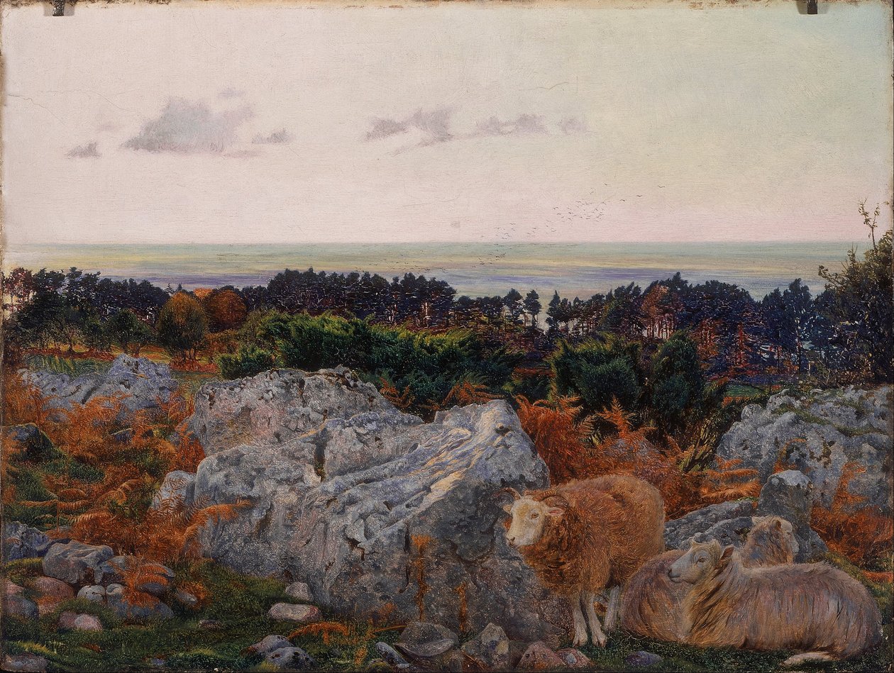 Morecambe Bay fra Warton Crag af Daniel Alexander Williamson