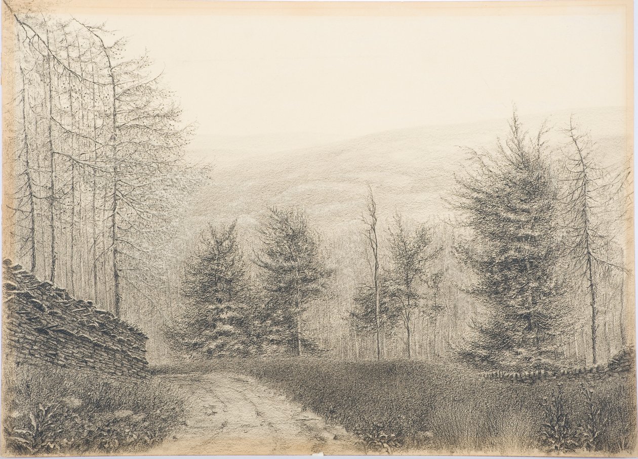 Egglestone Bridge, Teesdale, ca. 1916 (sort farveblyant på kortet) af Daniel Oliver