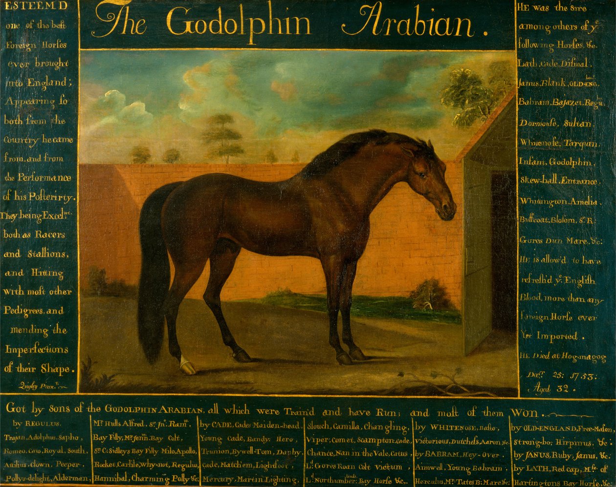 Godolphin -araberen af Daniel Quigley