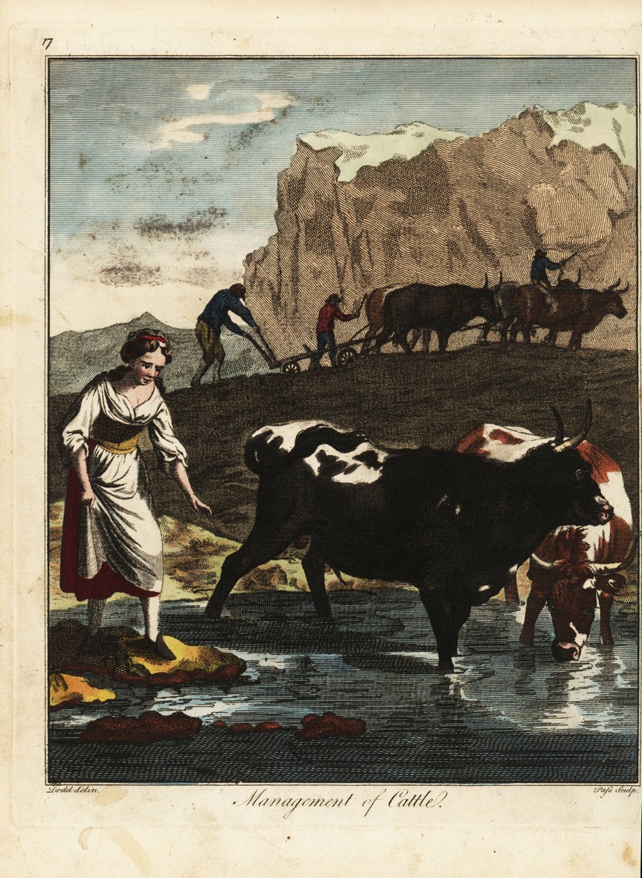 Mælkepige og landmænd med kvæg af Daniel (after) Dodd