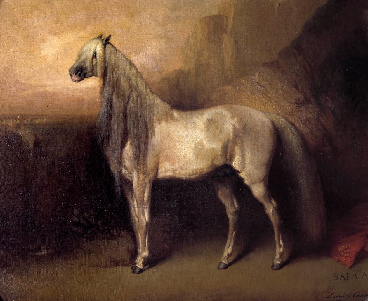 Baba Ali, arabisk hest af general Henri d