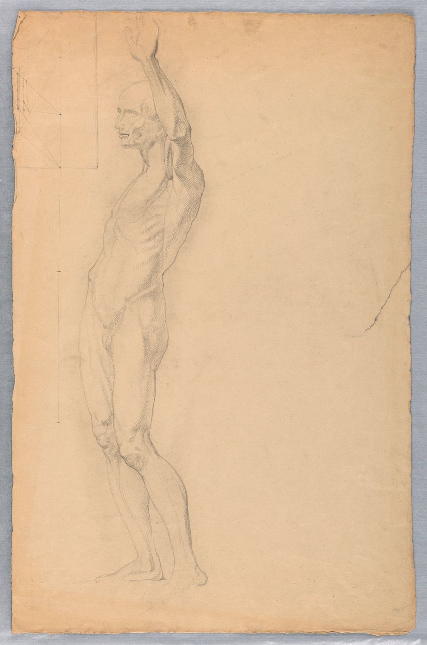 Tegning, Anatomisk studie af mand, ca. 1850 af Daniel Huntington