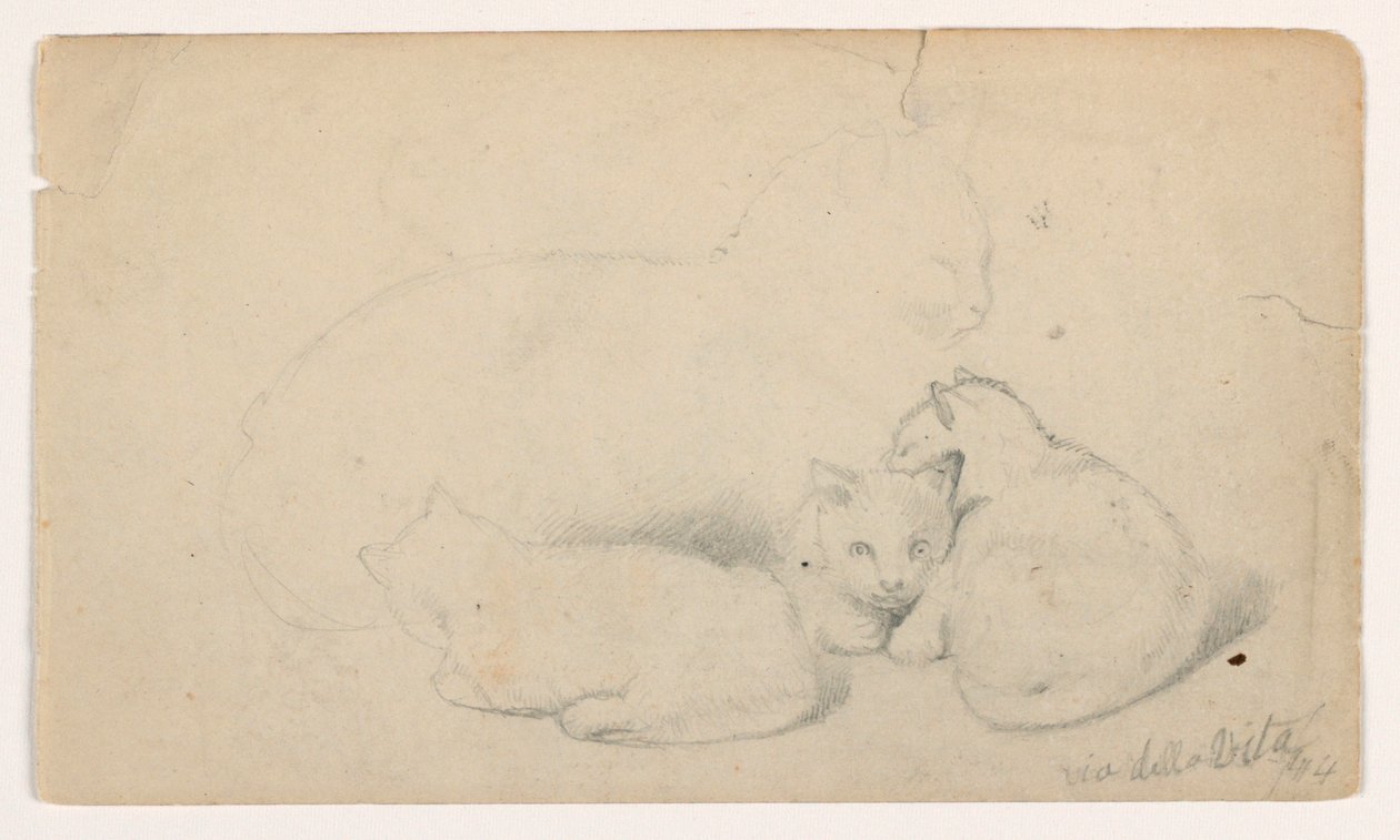 Tegning, Kat og tre killinger; bagside: Arabisk mand sidder og modtager en mand, muligvis efter David Roberts, 1844 af Daniel Huntington