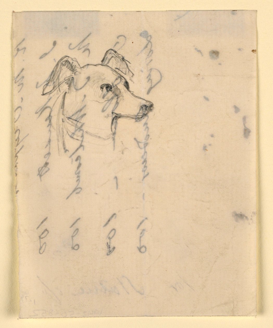 Tegning, hundehoved, sandsynligvis Milo (en pointer), ca. 1862 af Daniel Huntington