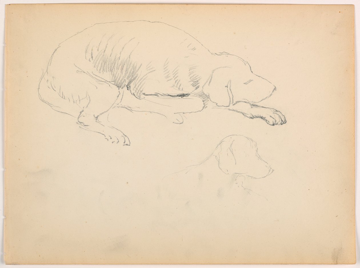 Tegning, Milo (en pointer), to studier, ca. 1862 af Daniel Huntington
