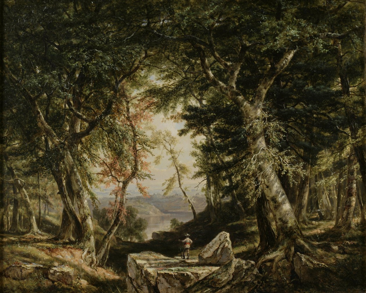 Glimt fra skoven, 1856 af Daniel Huntington