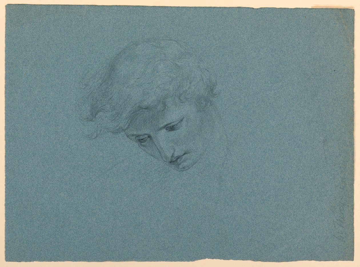 Studie af Angel
