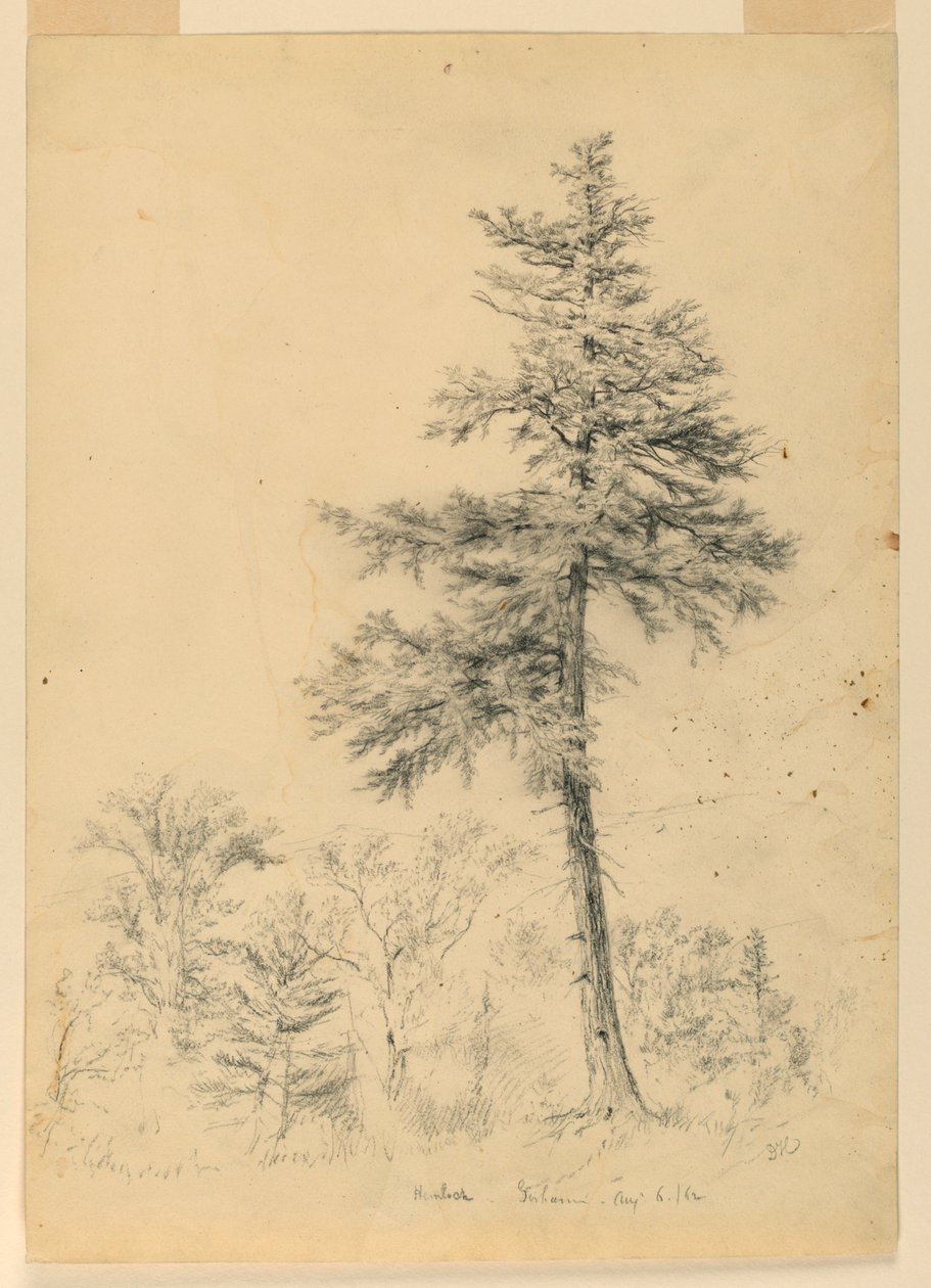 Studie af Hemlock, Gorham, New Hampshire af Daniel Huntington
