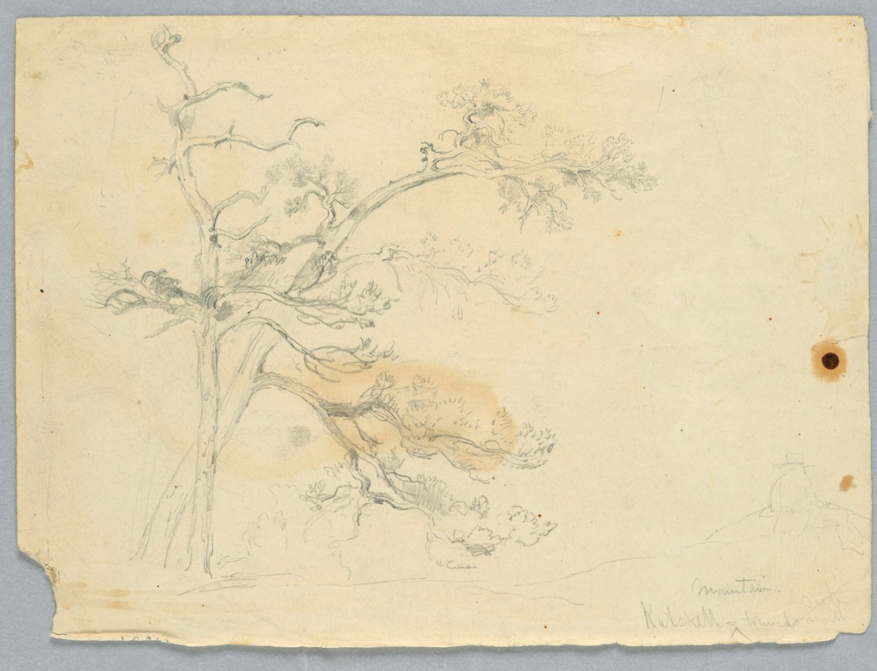 Studie af Two Pines, Catskill Mountains af Daniel Huntington