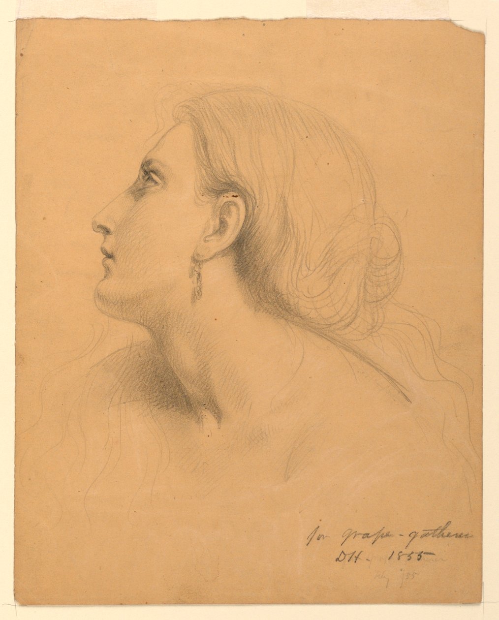 Studie af et kvindehoved for "Druesamlere" af Daniel Huntington
