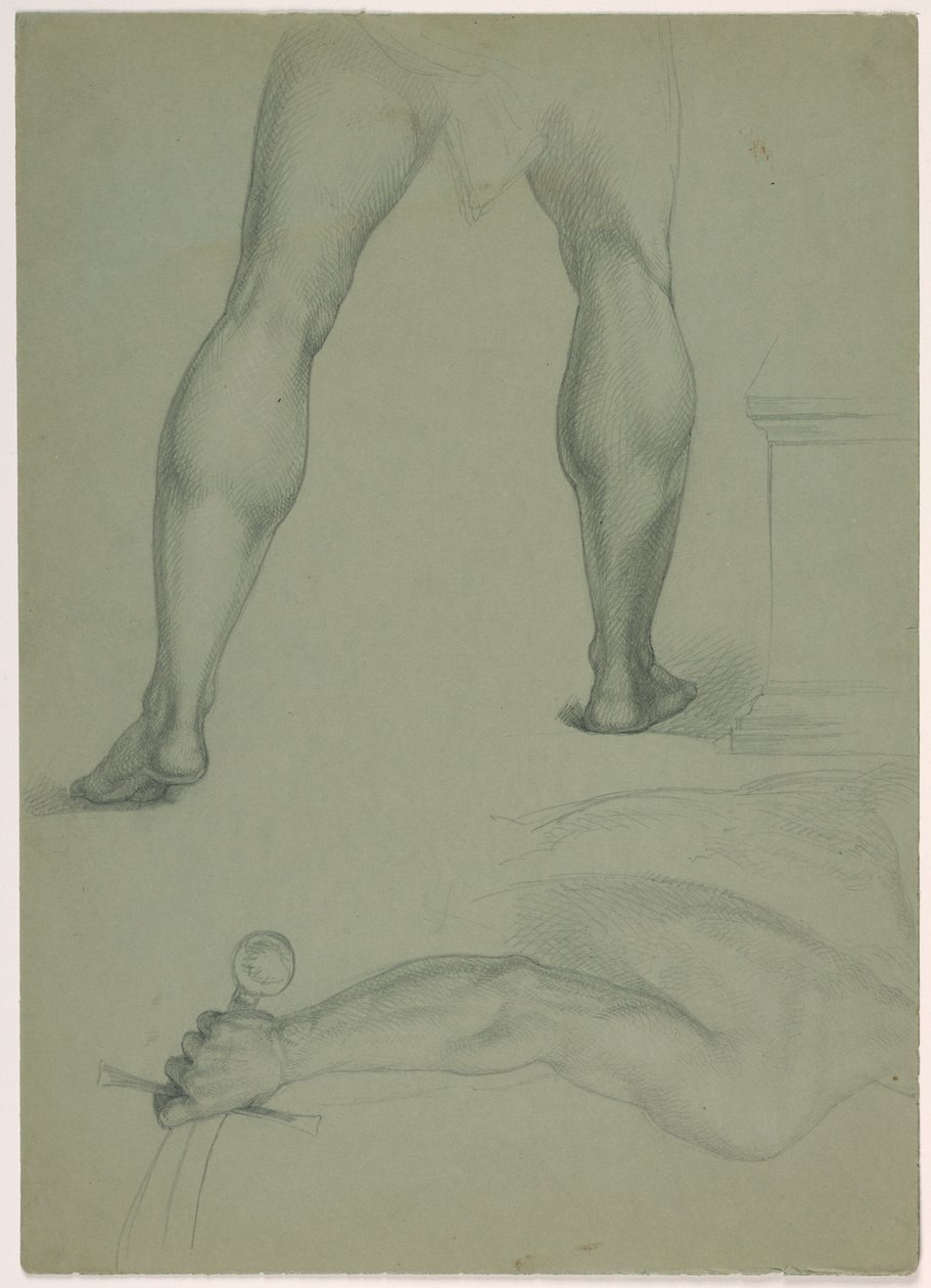 To partielle anatomiske studier af Daniel Huntington