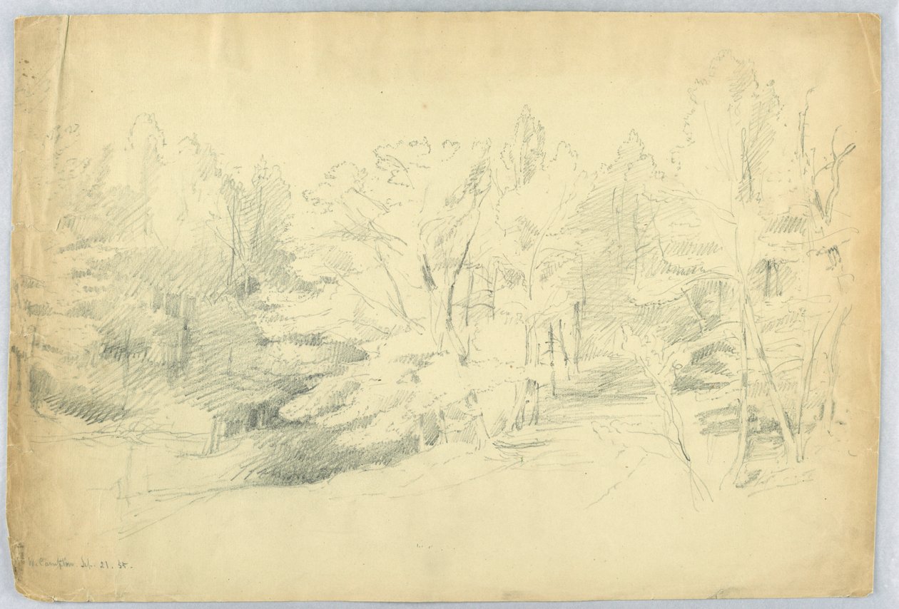 Skovklædt scene - West Campton, New Hampshire af Daniel Huntington