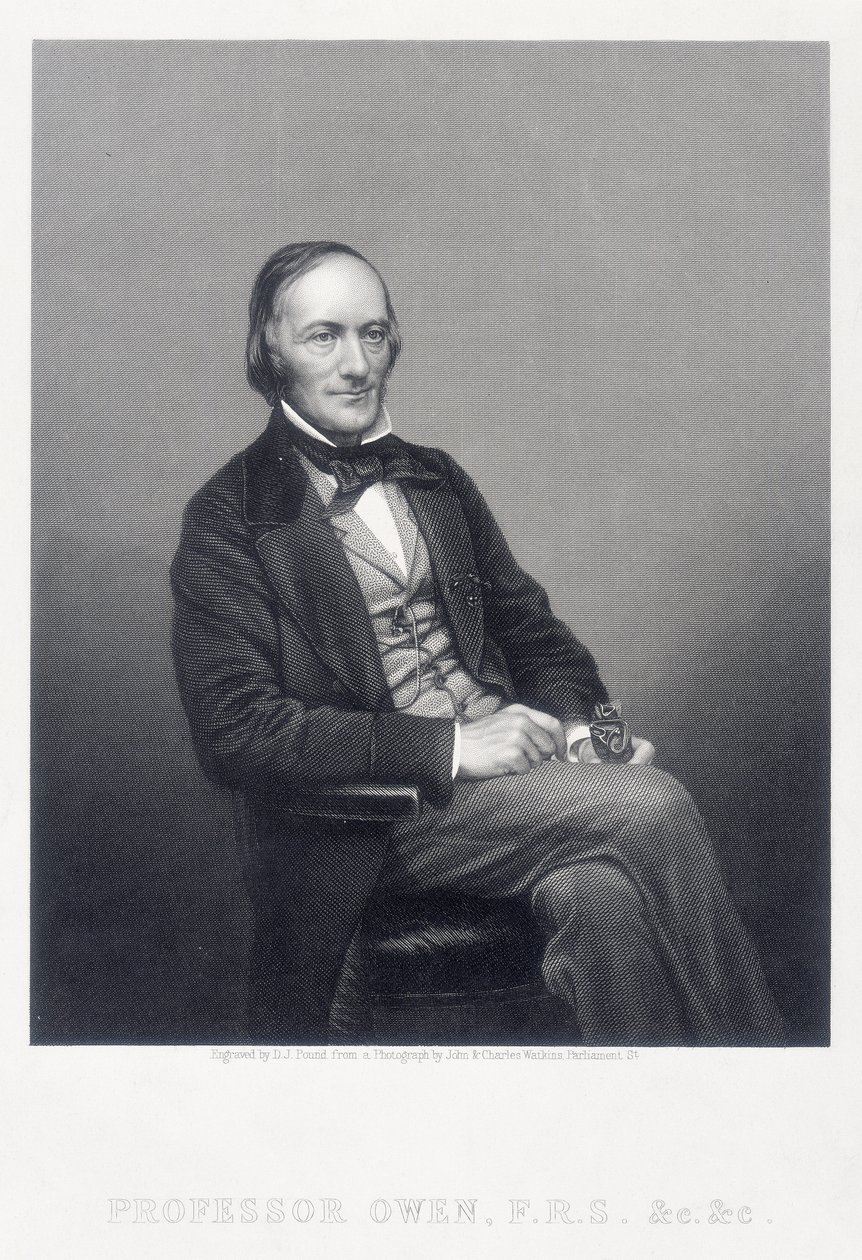 Sir Richard Owen, engelsk zoolog, c1860. af Daniel John Pound