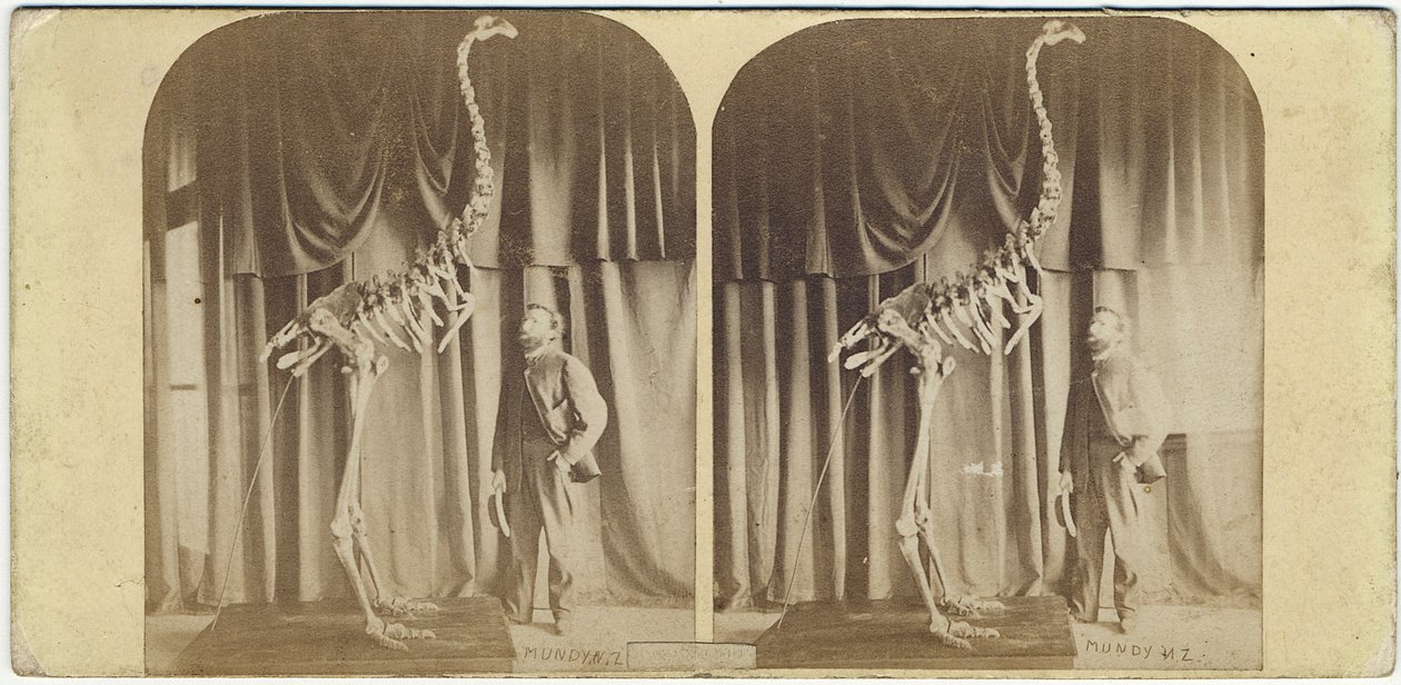 Julius von Haast og Moa, Canterbury Museum, ca.1867 (albumenprint) af Daniel Louis Mundy