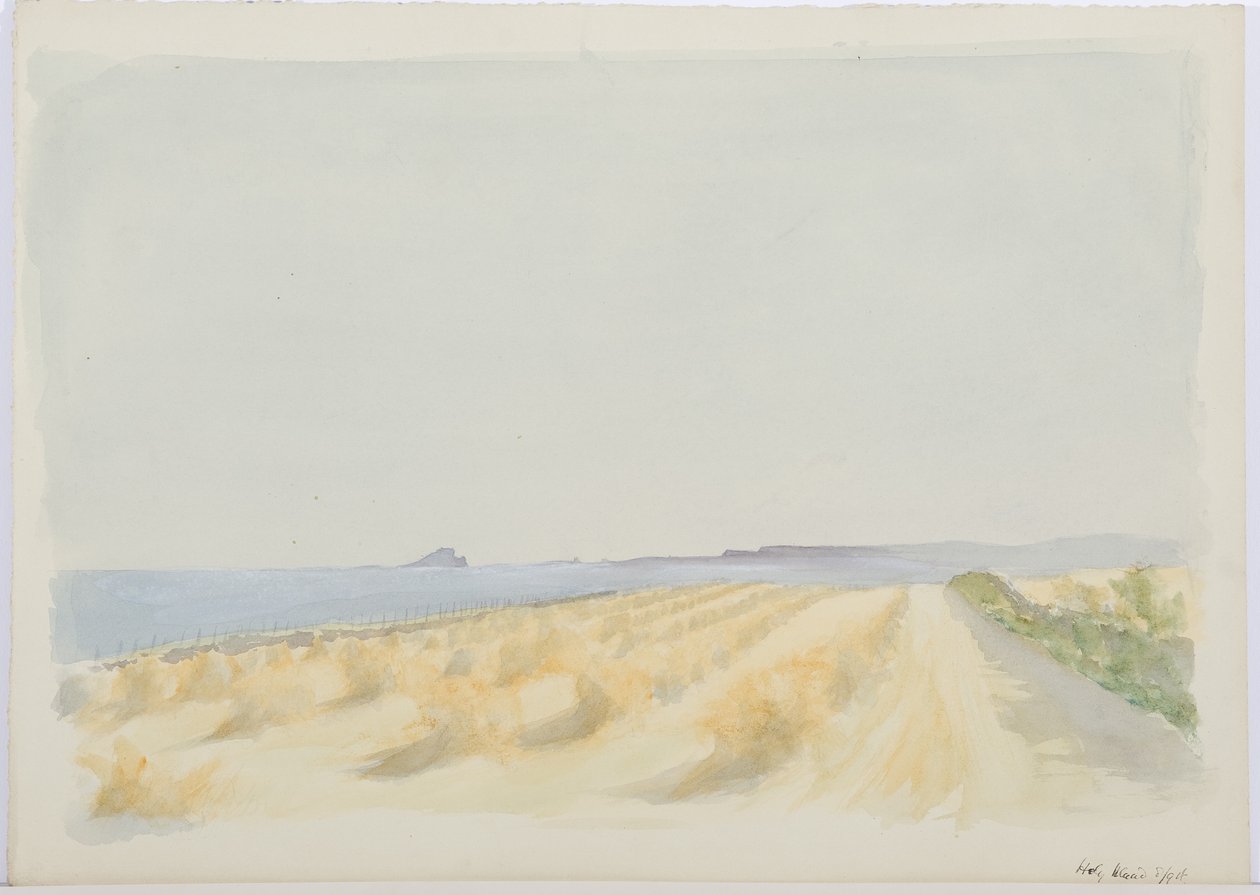 Holy Island, 1894 (blyant og wc på papir) af Daniel Oliver