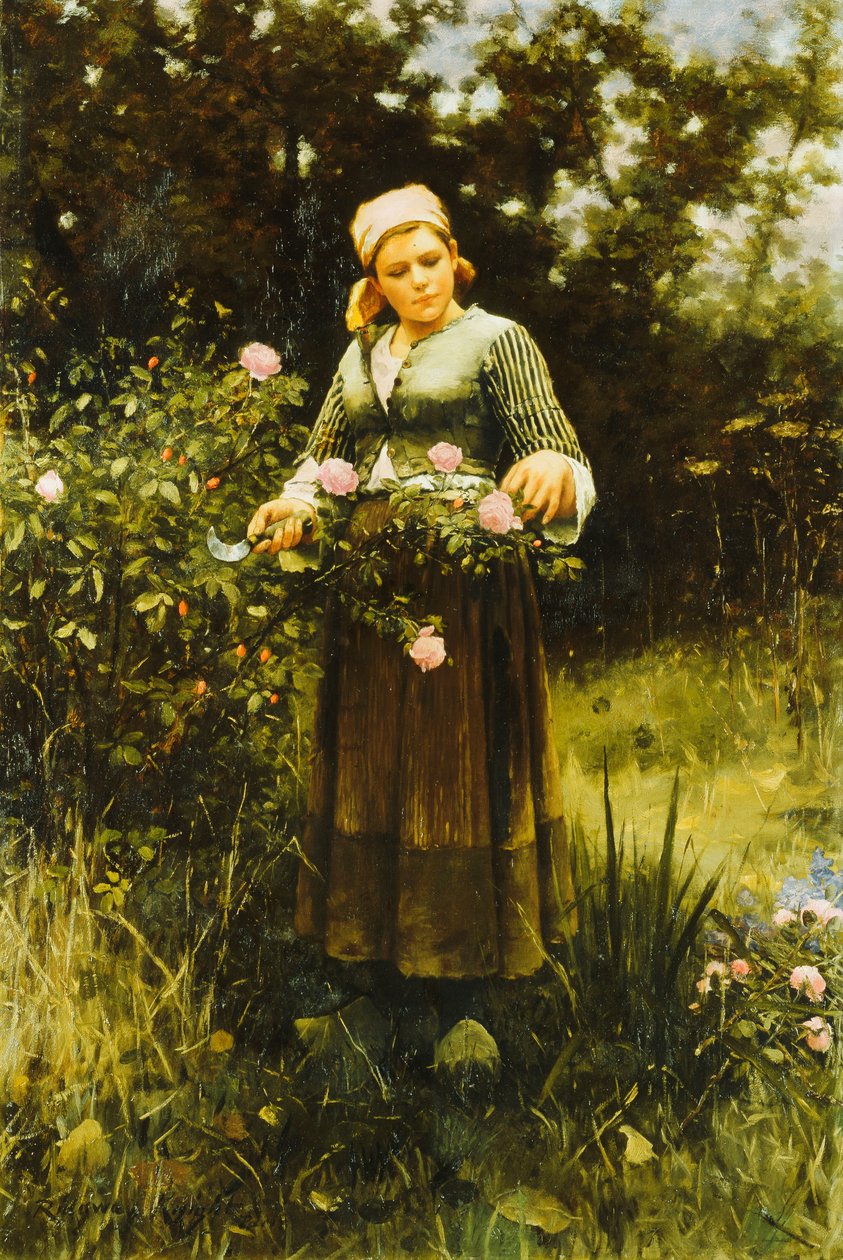 Samler roser, af Daniel Ridgway Knight