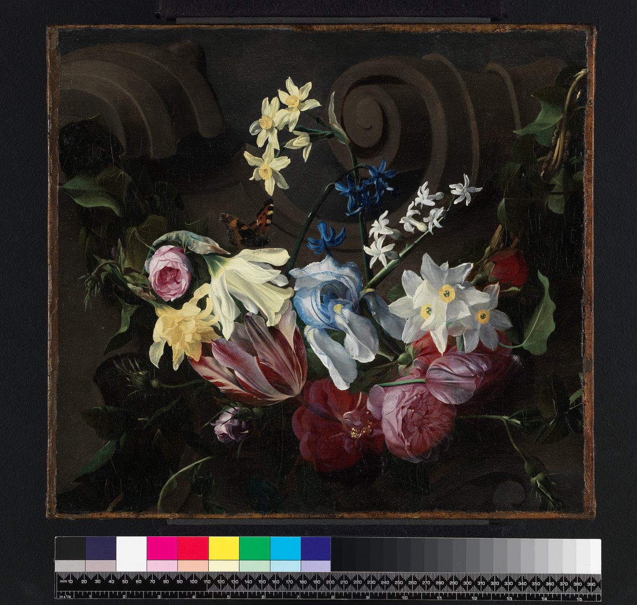Feston af blomster, før 1661 af Daniel Seghers